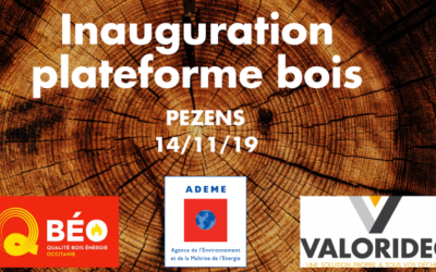 Journée bois énergie en Occitanie